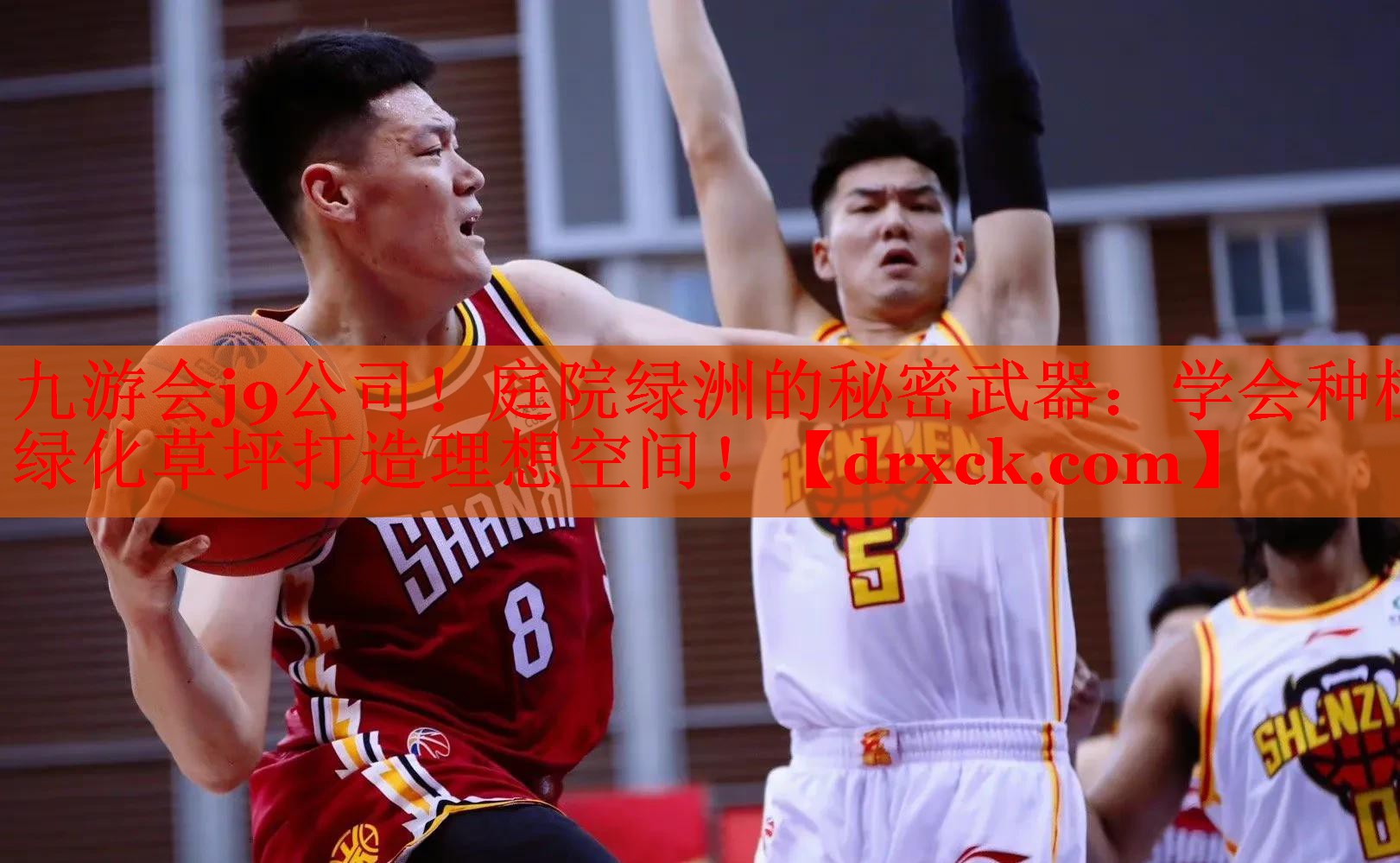 九游会j9公司！庭院绿洲的秘密武器：学会种植绿化草坪打造理想空间！
